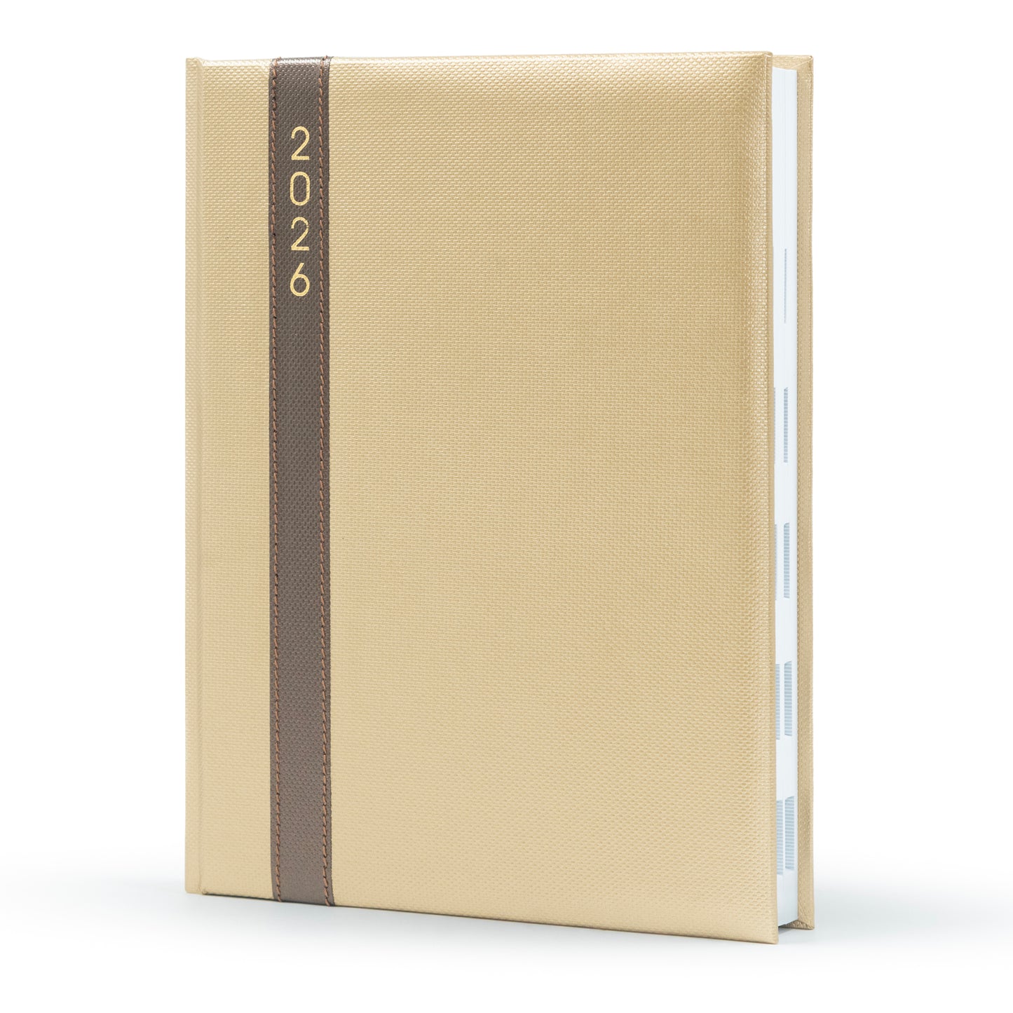2026 Standard New Year Diary - B5