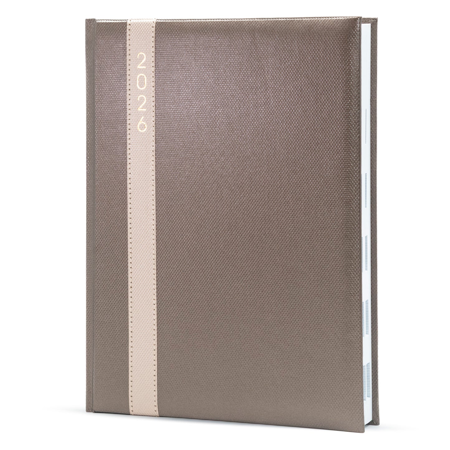 2026 Standard New Year Diary - B5